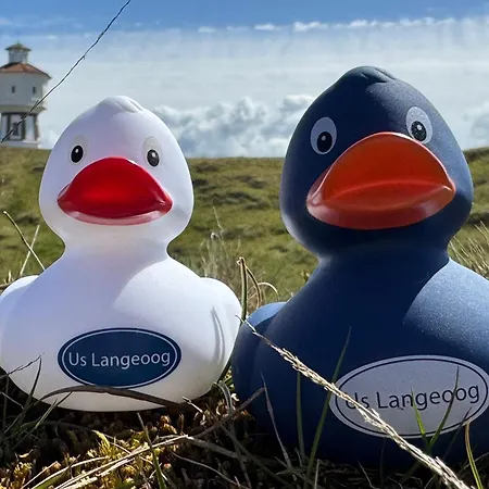 Schippkieker Daire Langeoog